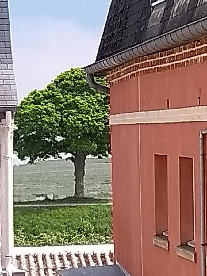 Au Petit Bonheur Διαμέρισμα Saint-Valery-sur-Somme Εξωτερικό φωτογραφία
